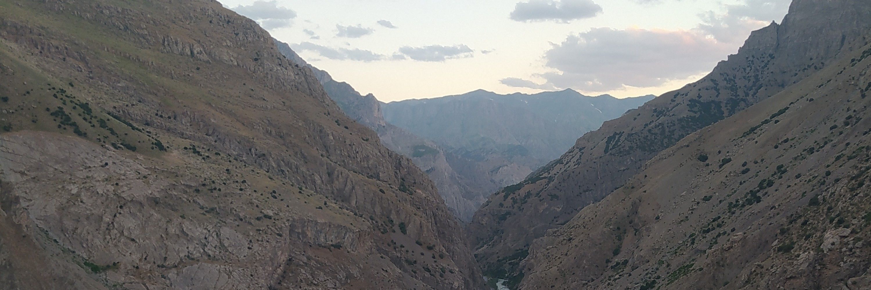 Metin Adıyaman 