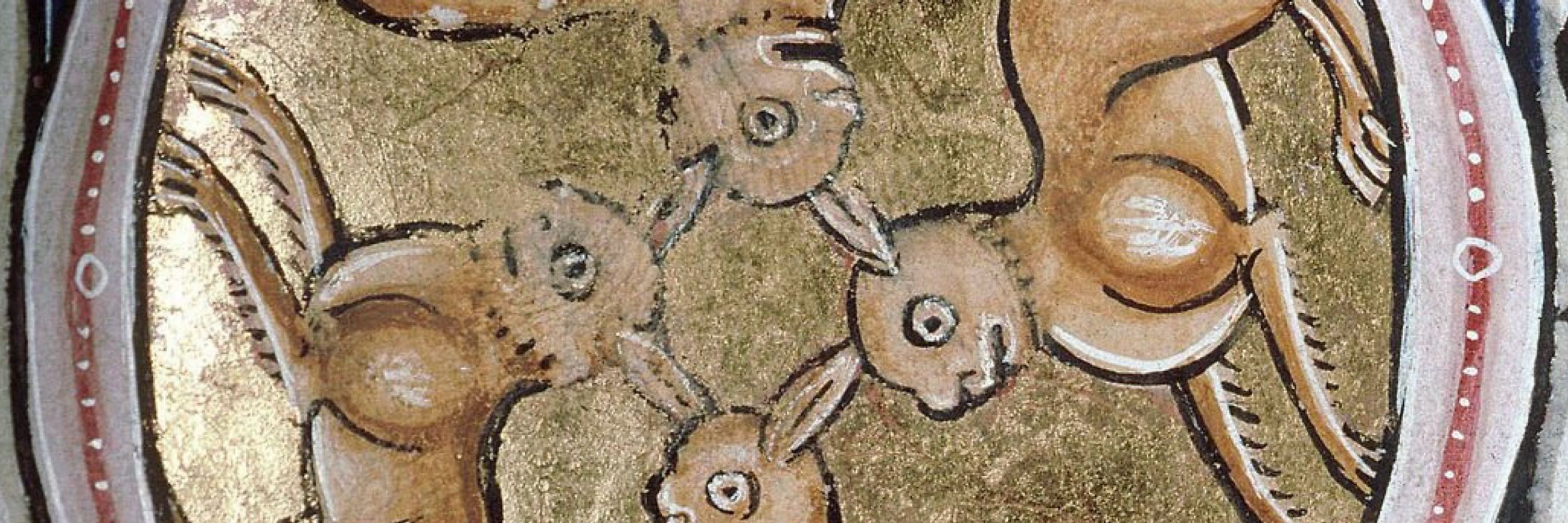 Snil