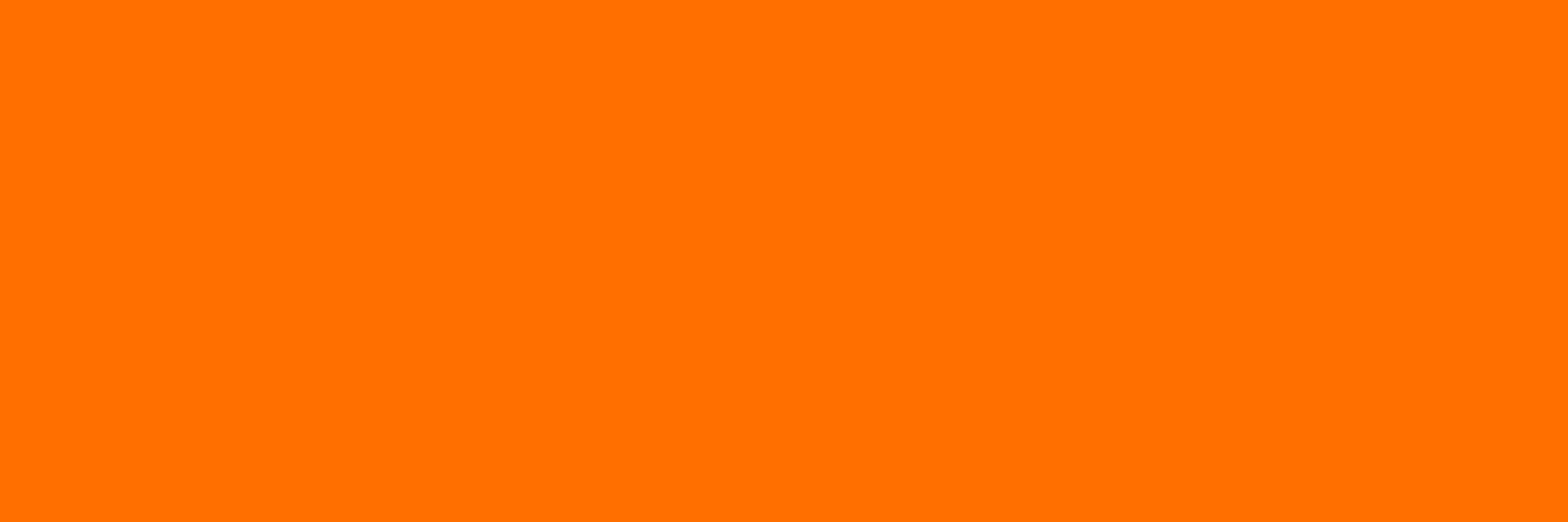 OrangeBunBee