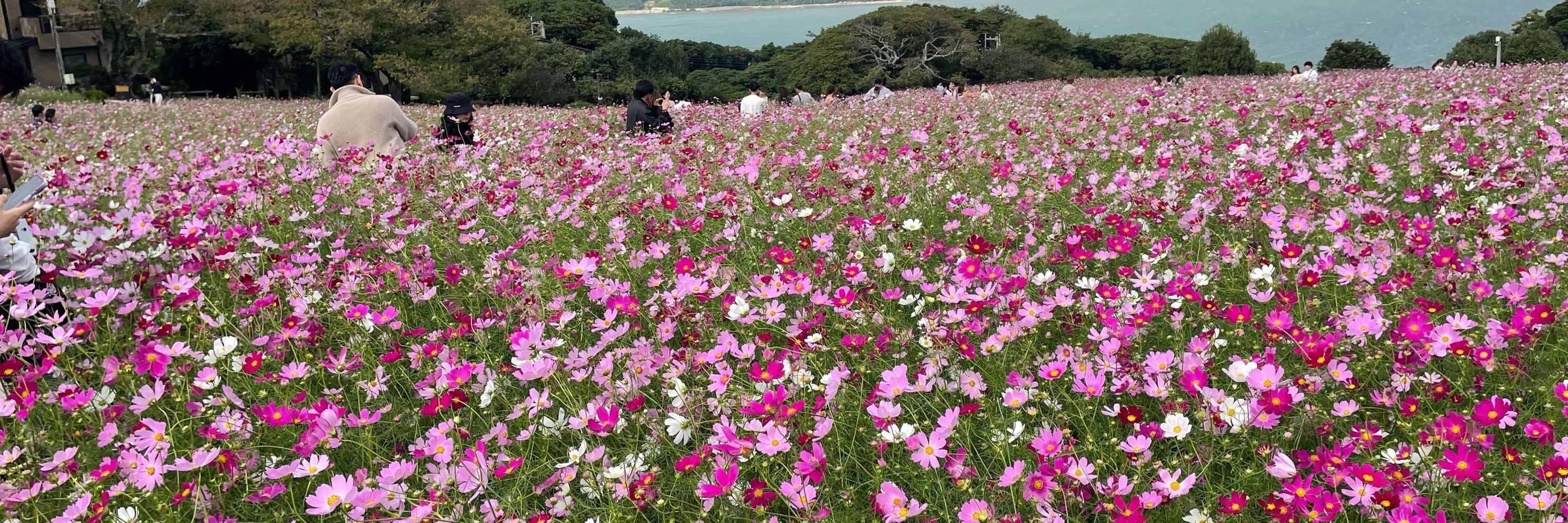ける