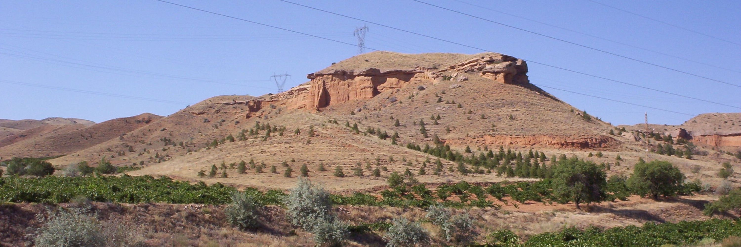 Vâsıl bin Sâbit
