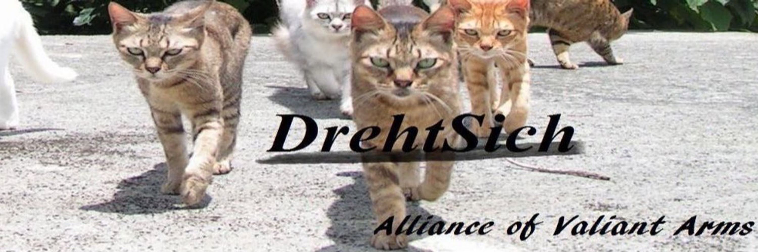 DrehtSich(ドレート)