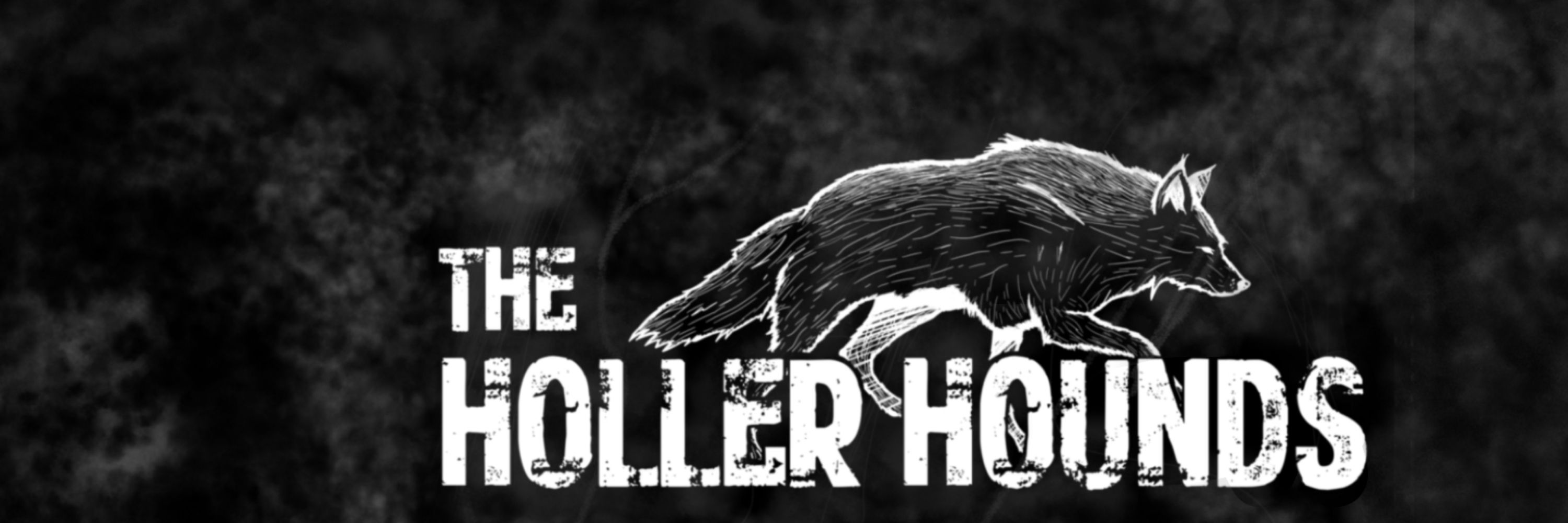 Jesse Lee from The Holler Hounds