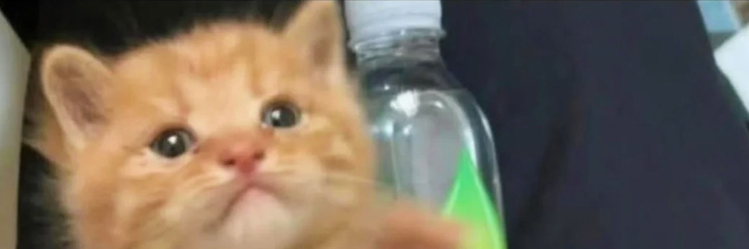 ~𝓦𝓱𝓪𝓽𝓮𝓿𝓮𝓻~