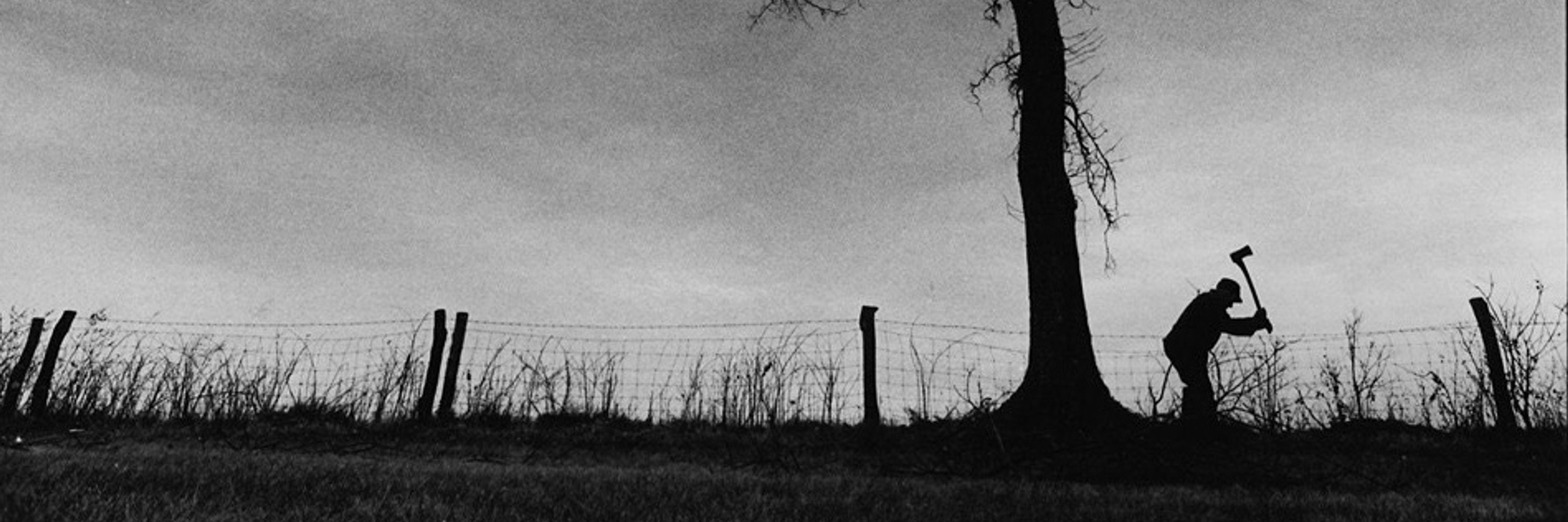 Stewart Bowman