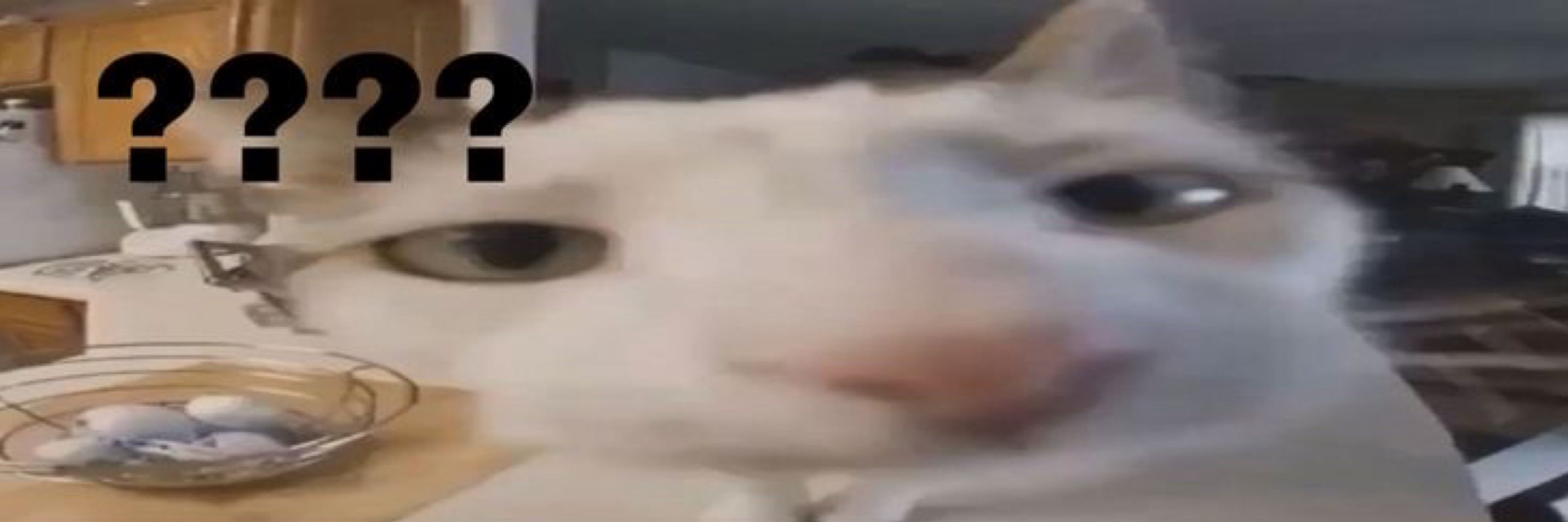 lari 𝜗𝜚 