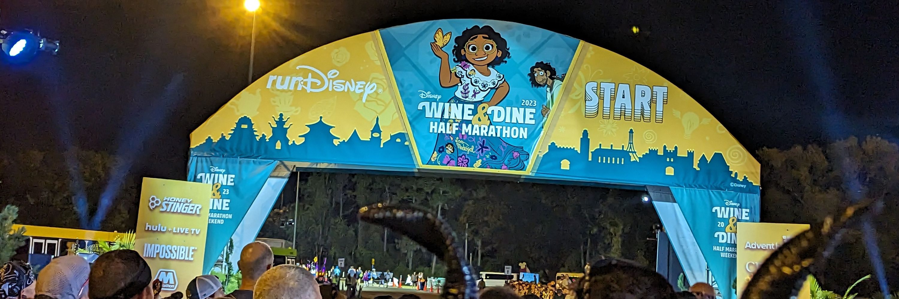 TheDisneyDink