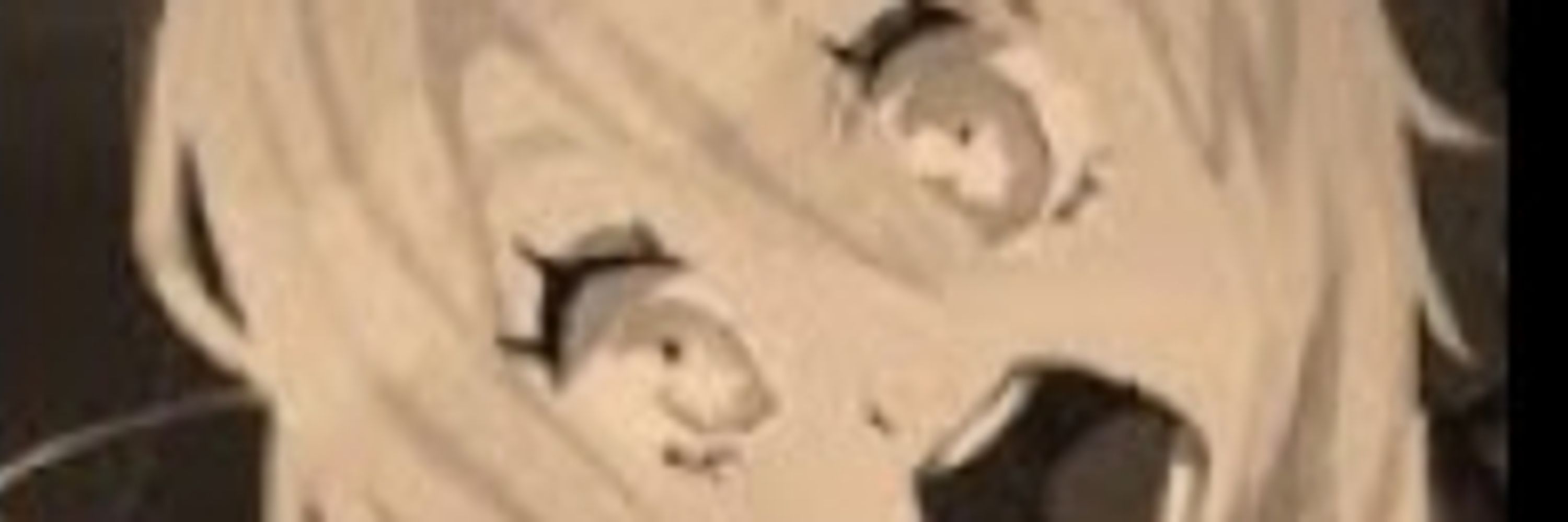teix