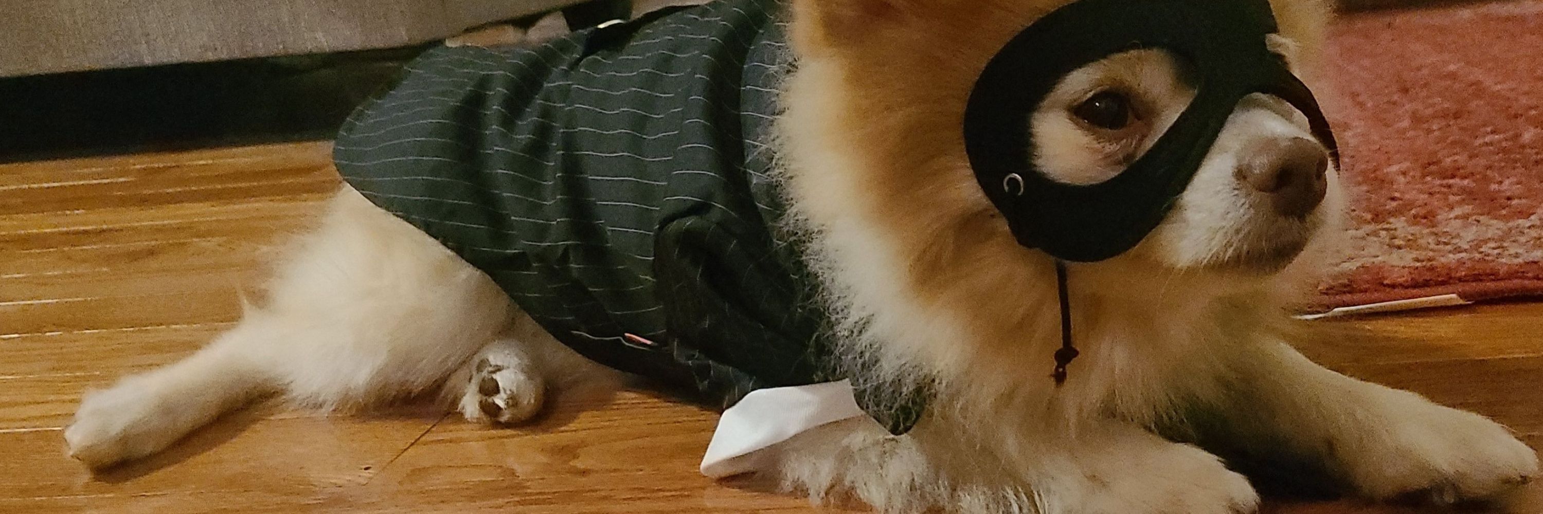 Minmo