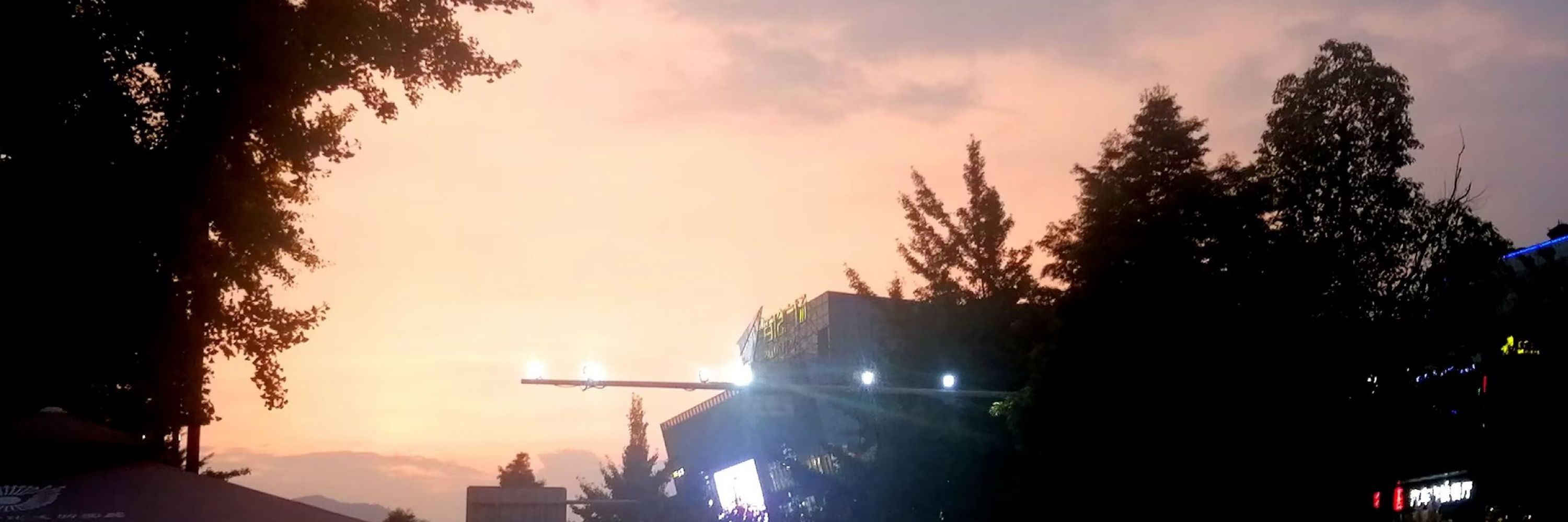 是阿飞呐~