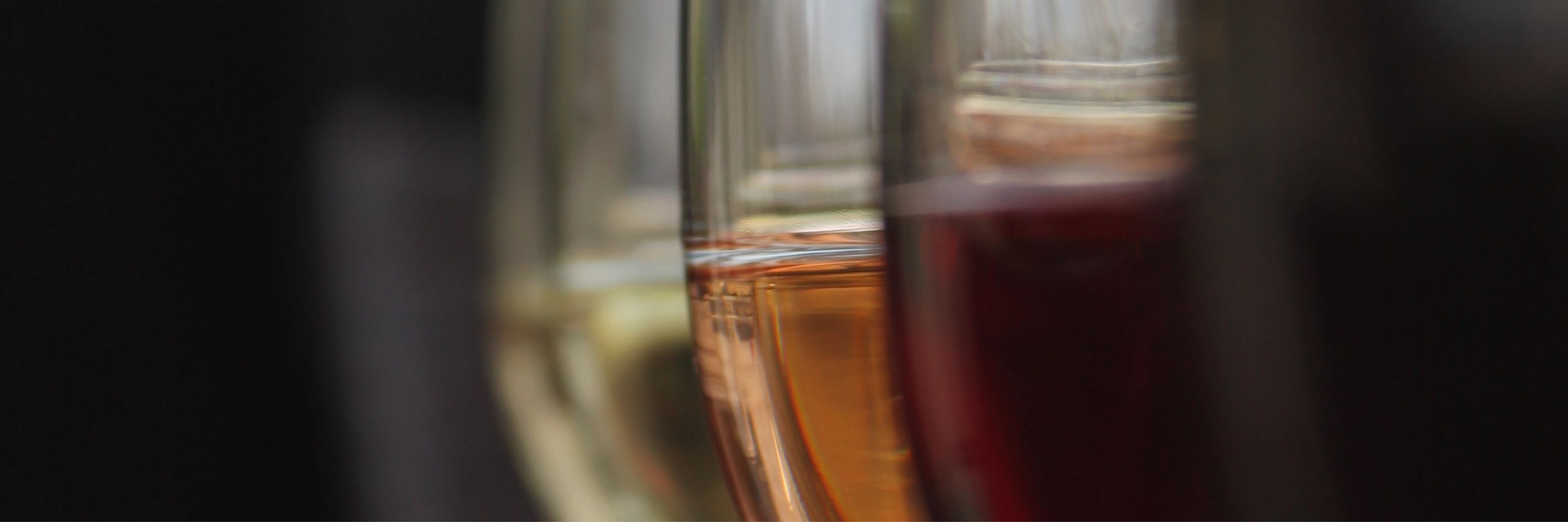 Put a Cork In It Wine Tasting