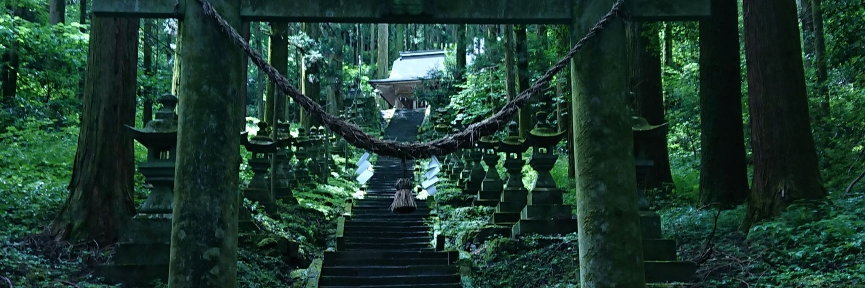 ⛰️雨乃華♨