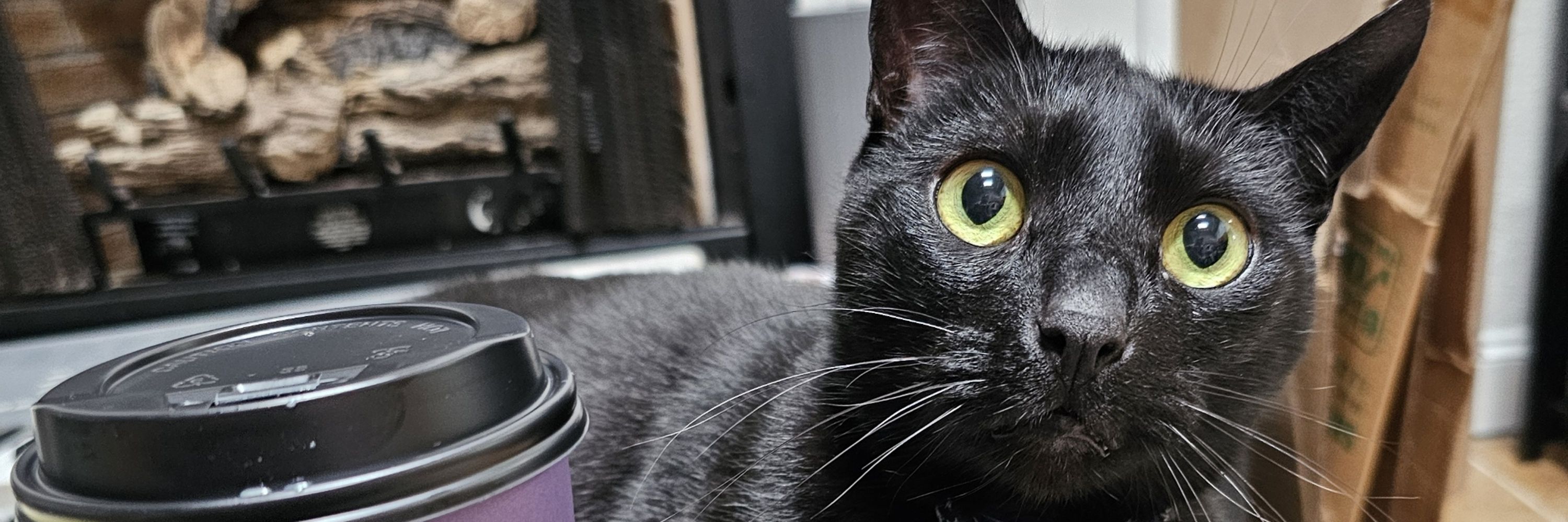🖤Tricia Marie🐈‍⬛