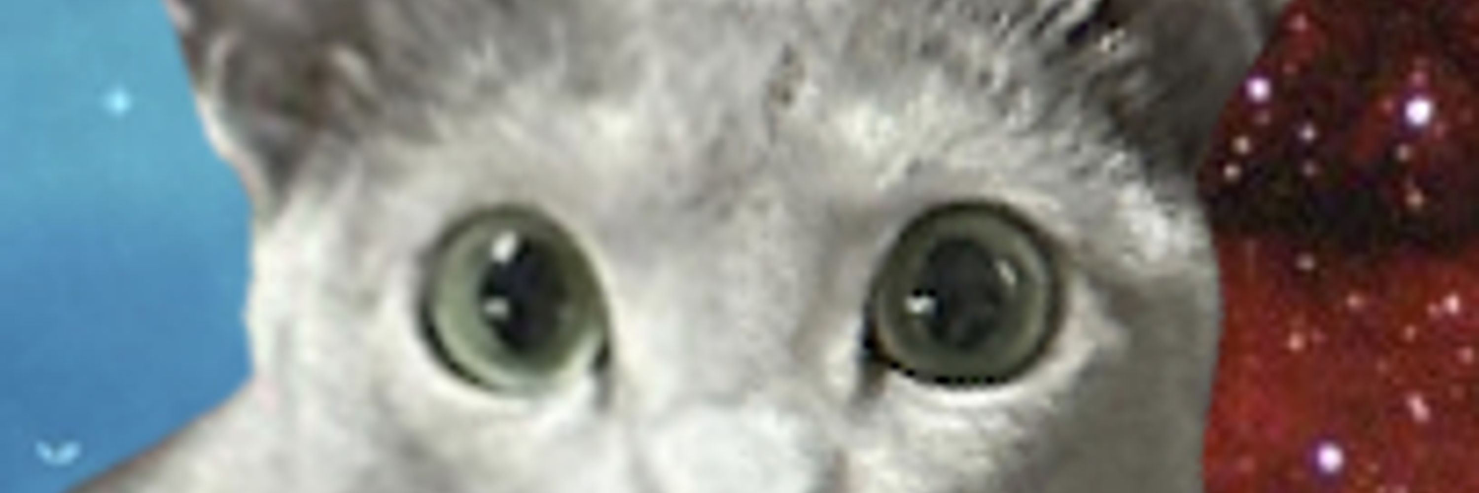todberius