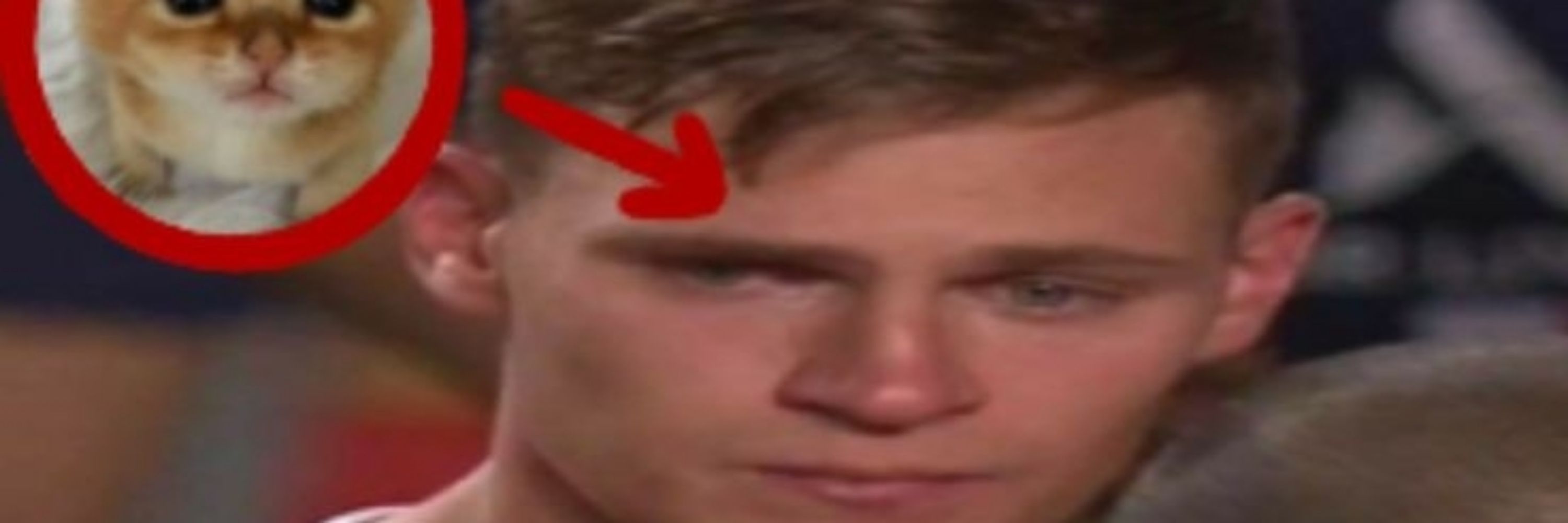    Wirtz