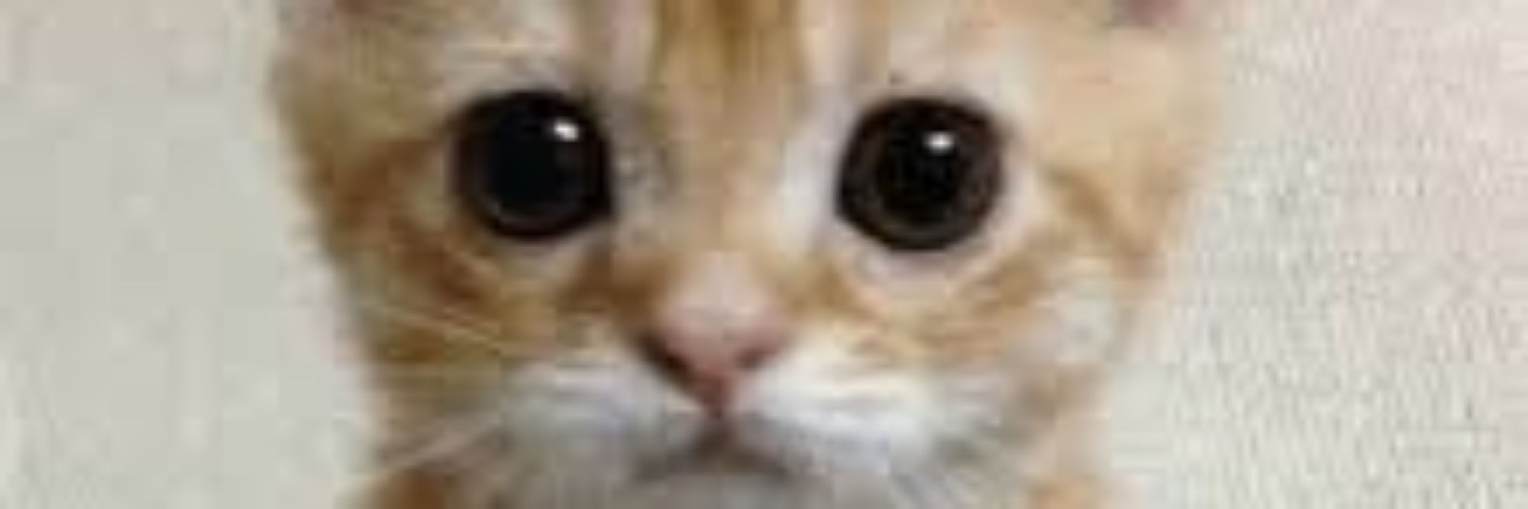 RAY