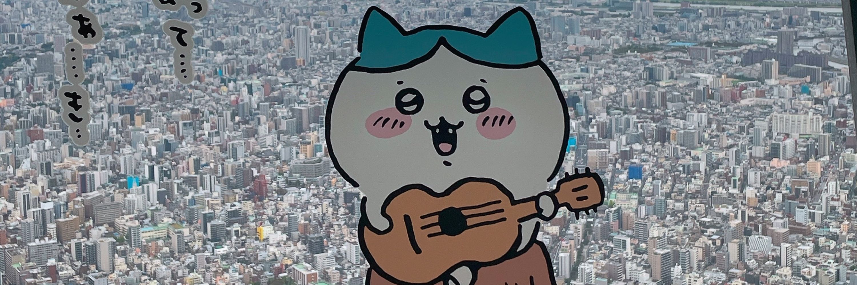 ロビン