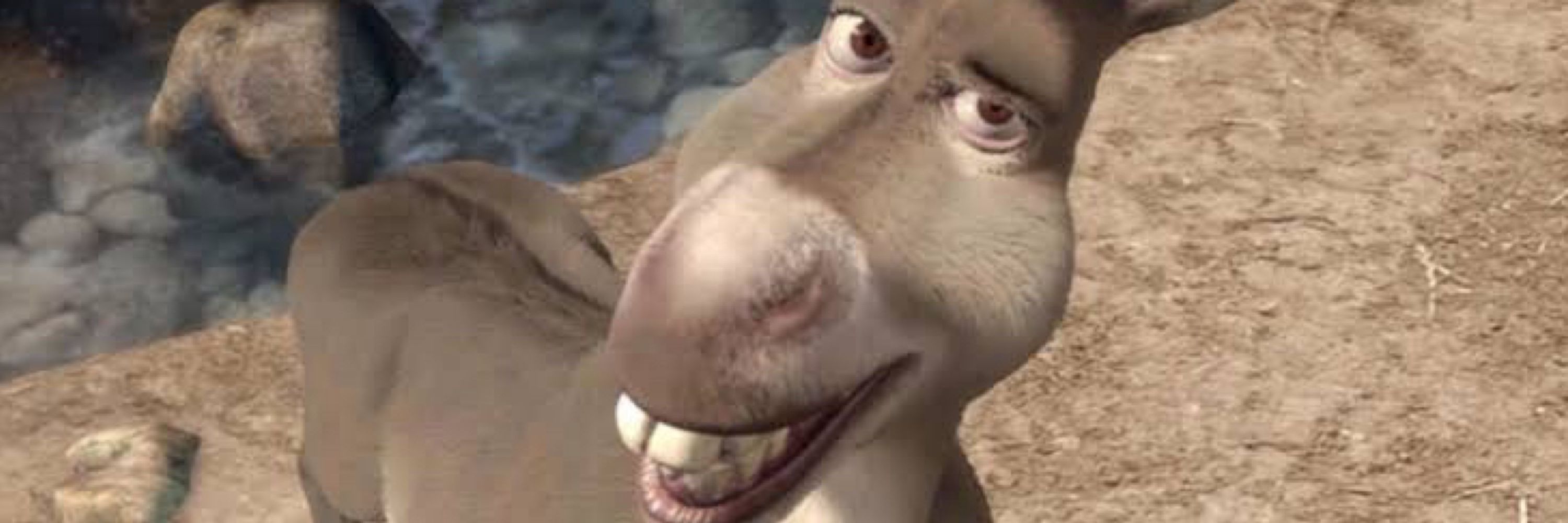 burro do sherk