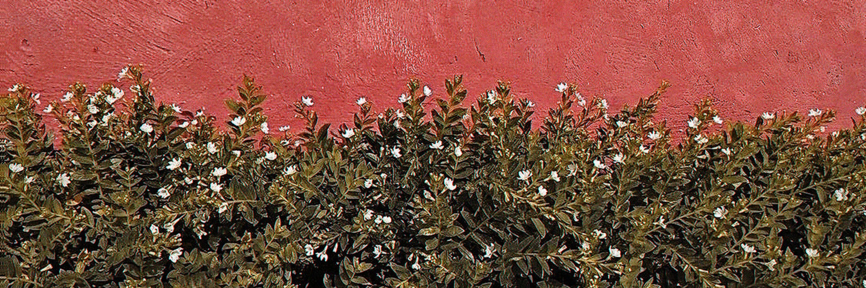 crescent