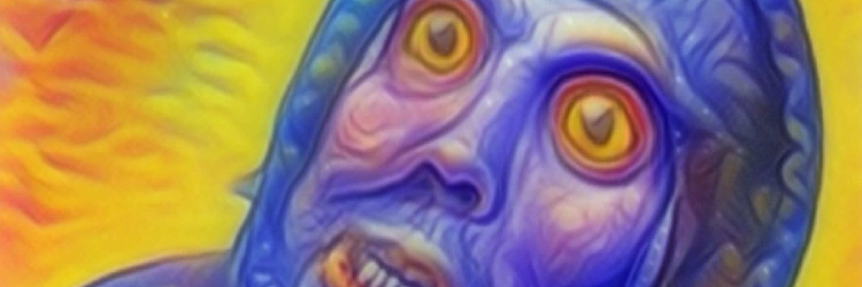 Thelargefry