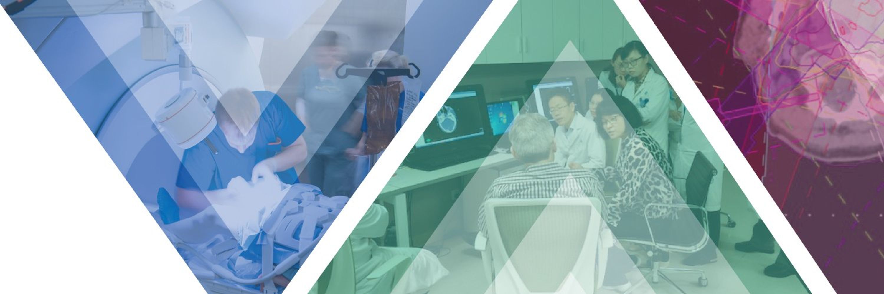 Radiation Medicine Program 