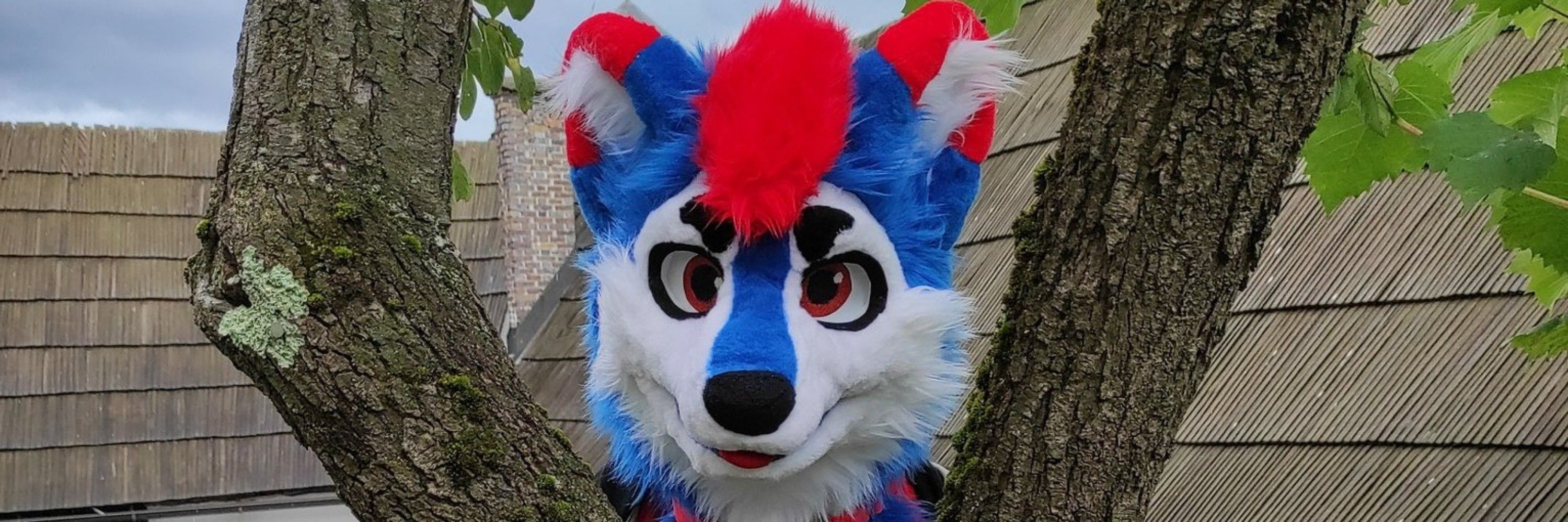 Nesko Husky 