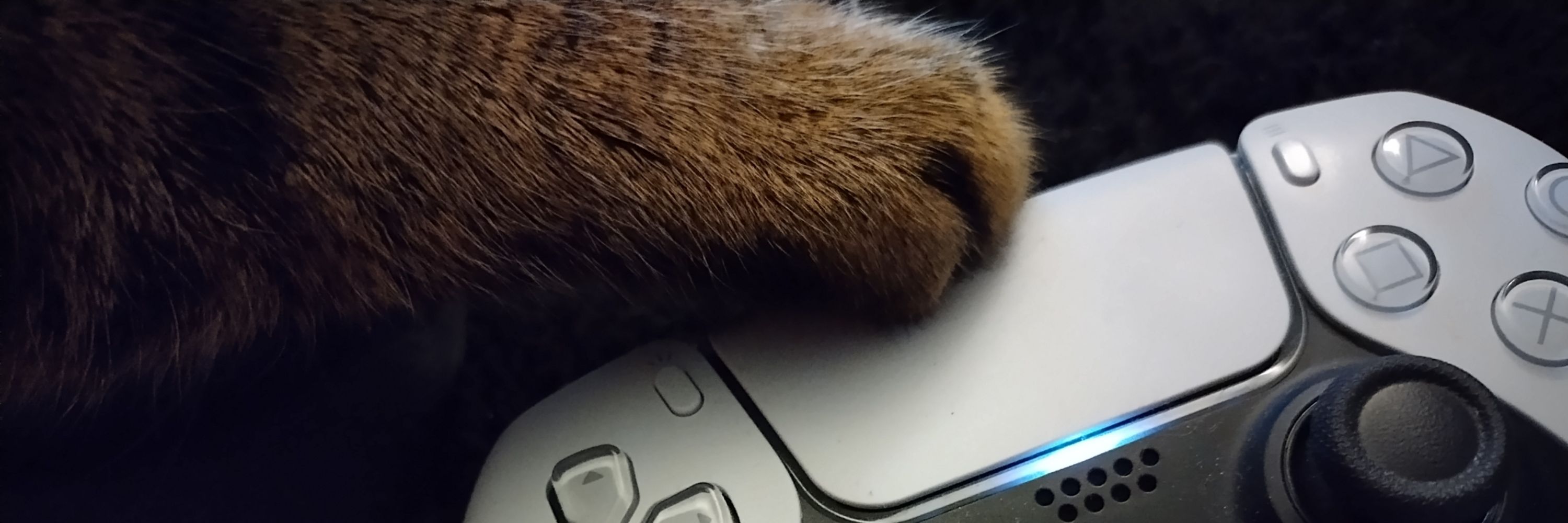 Catica