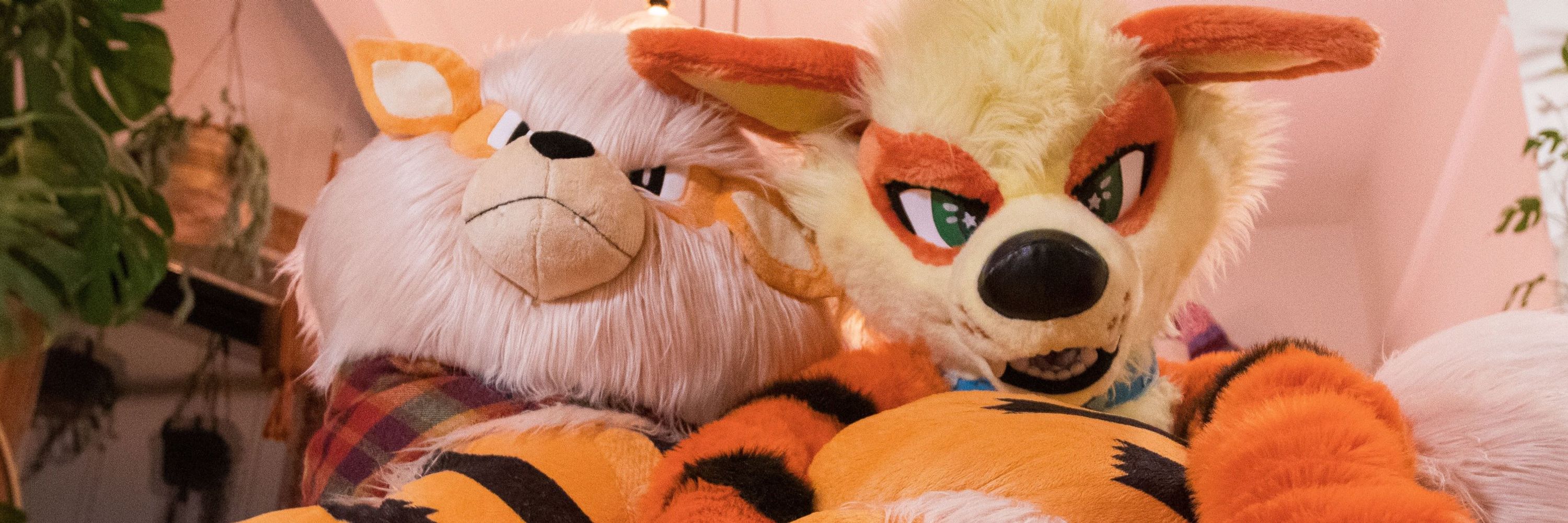 Reid Arcanine