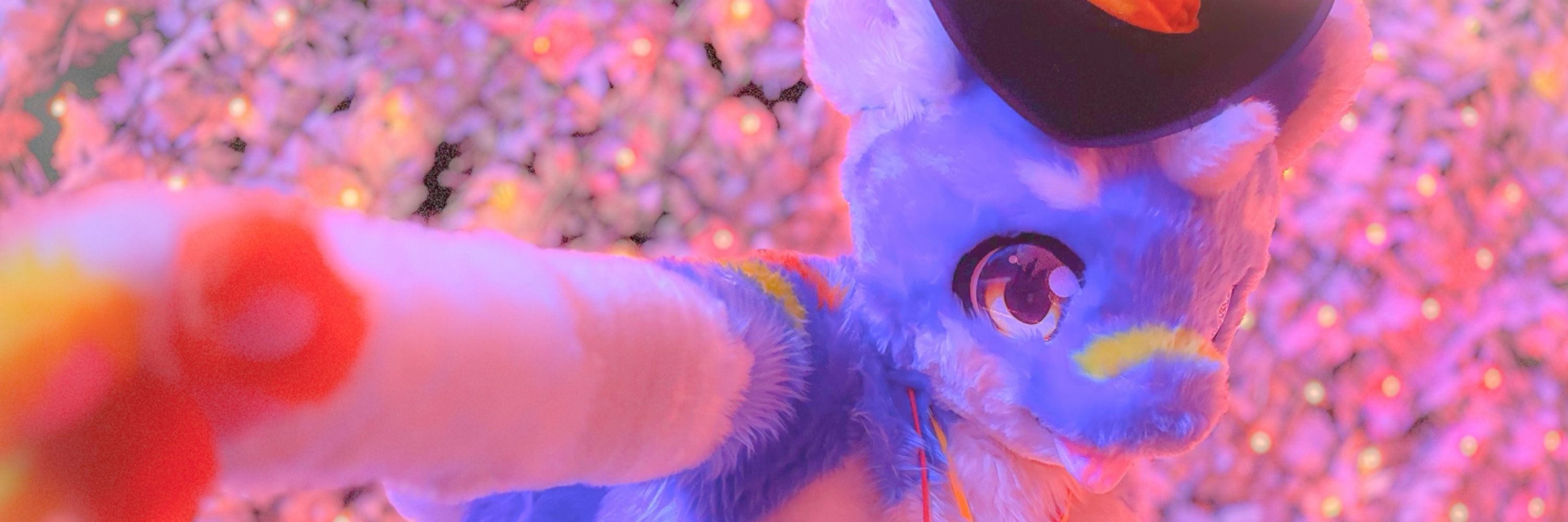 カラミス.qw