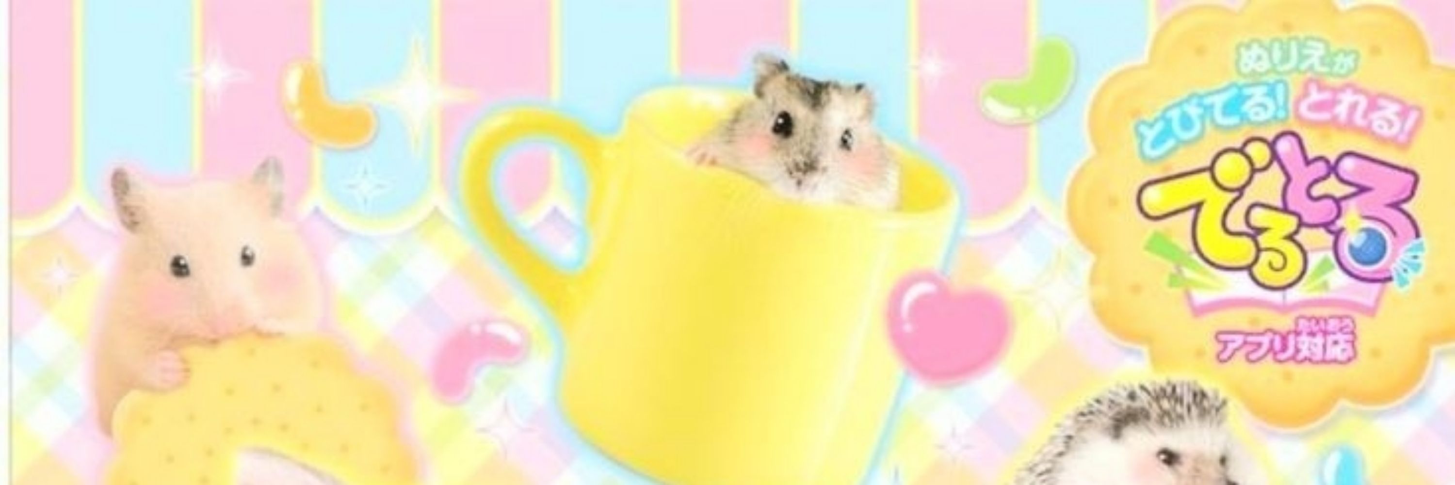 bunny ✮⋆˙