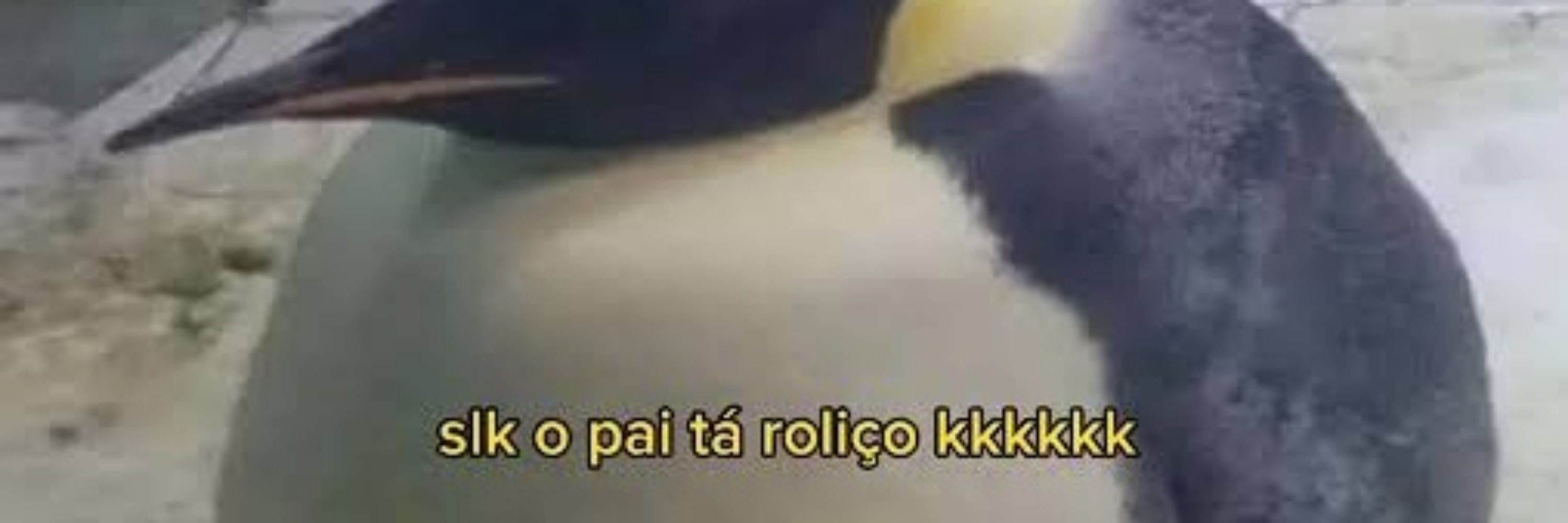 ֆØʊ𝖅Δ