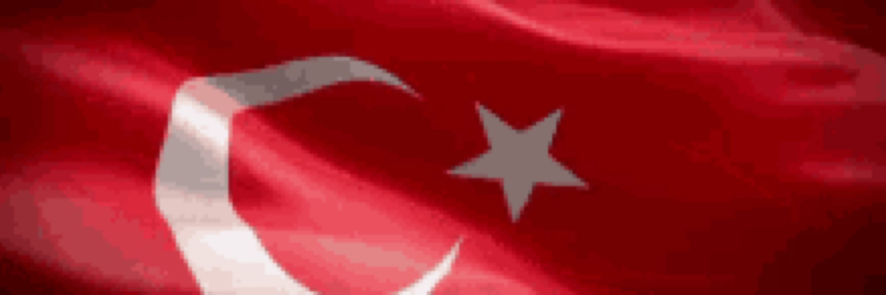 Efekız Nermin Seçkin