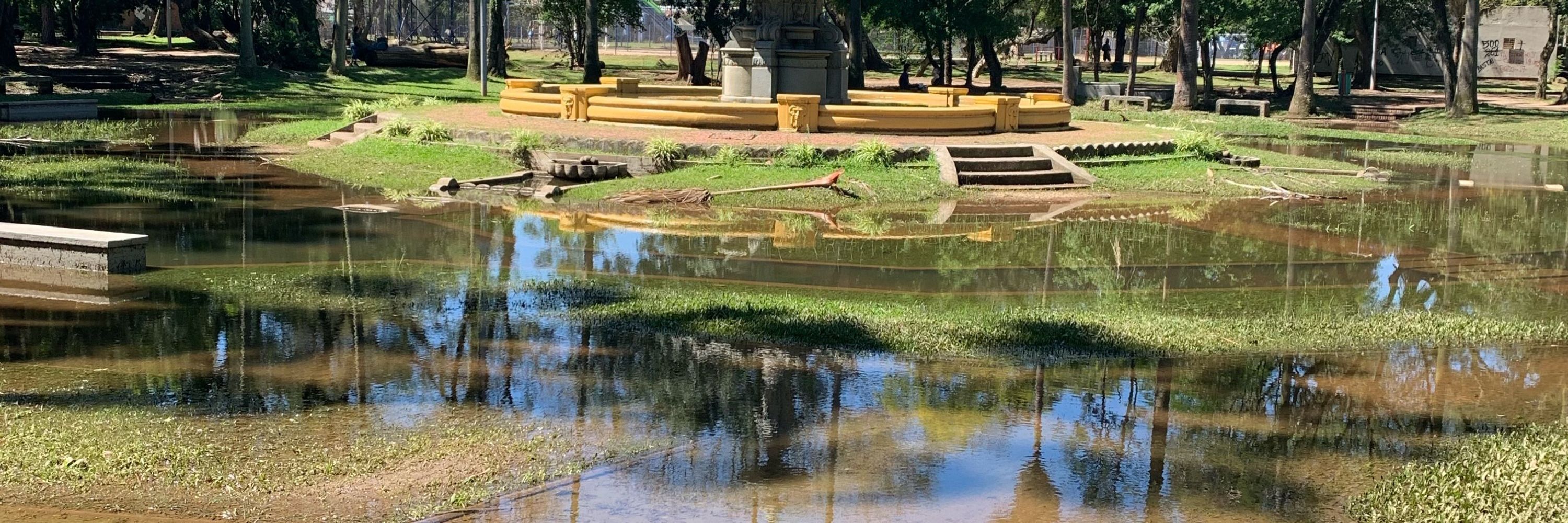 Carlos HCM