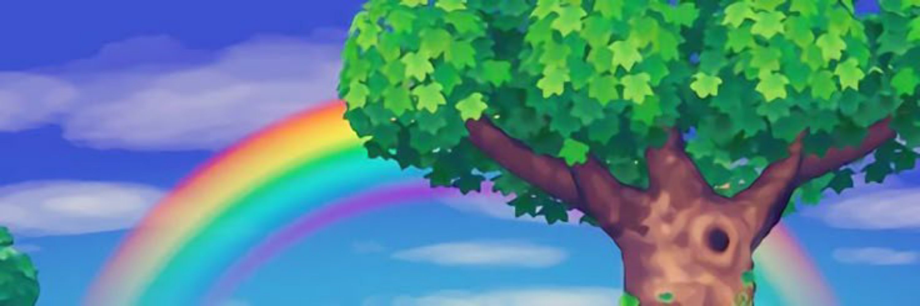 🌈