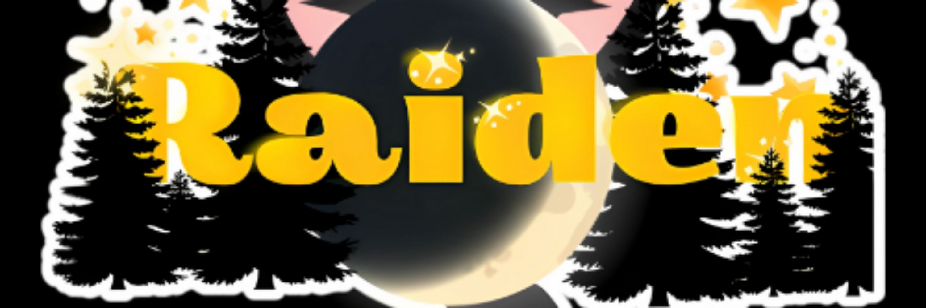 RaidenGuy