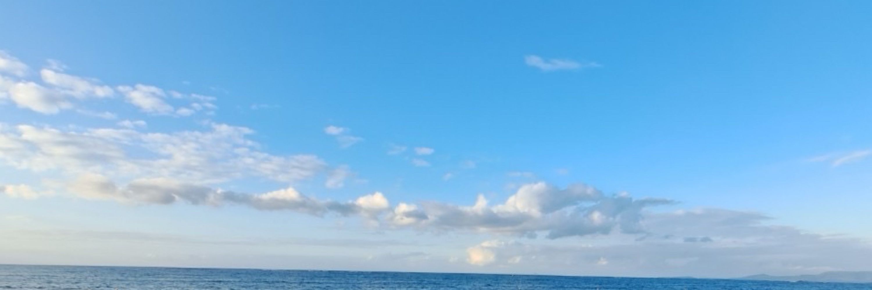けものみ