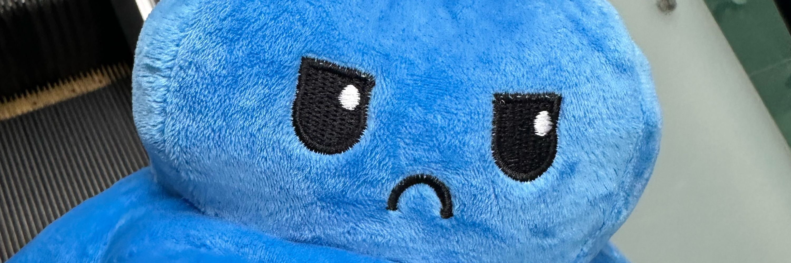 ねず！