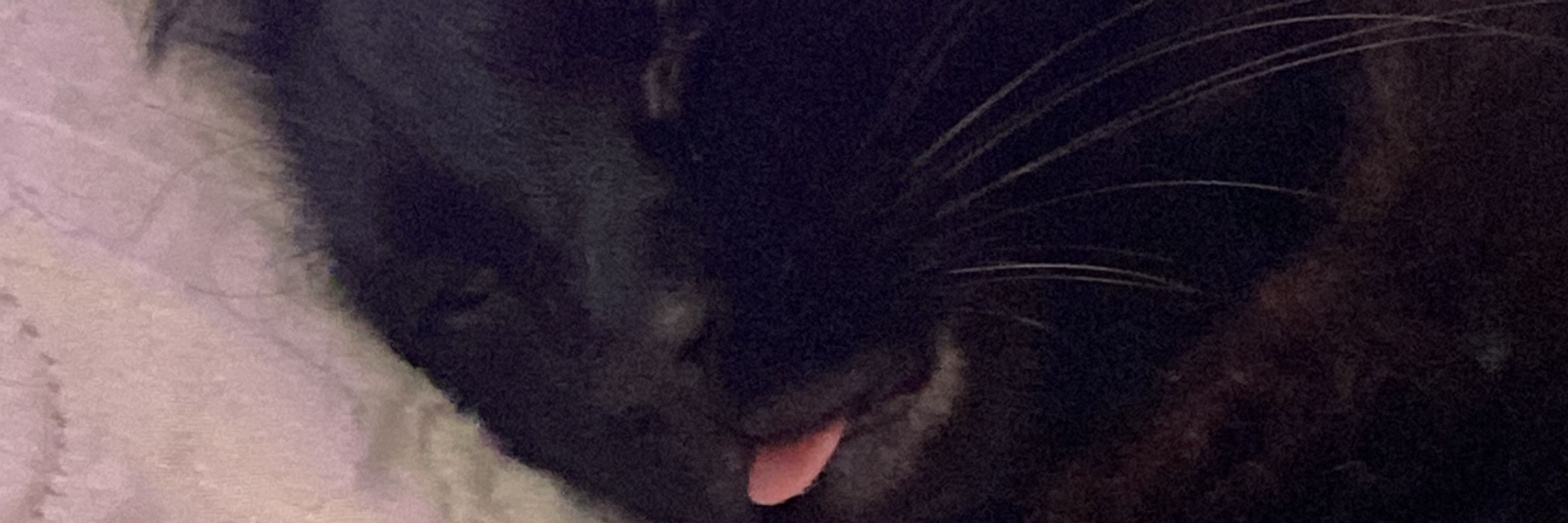 nelita ☥