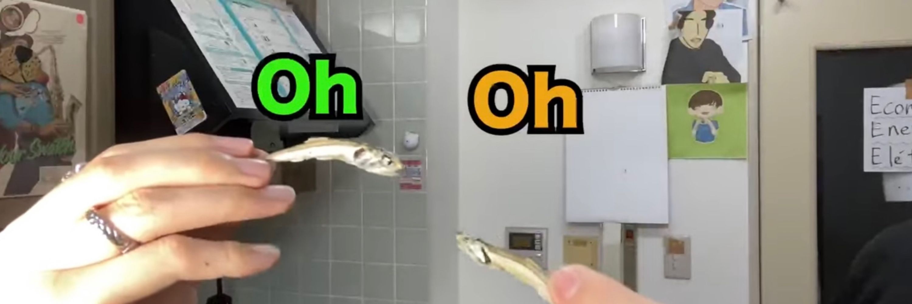 英弱ちゃん |ω･)