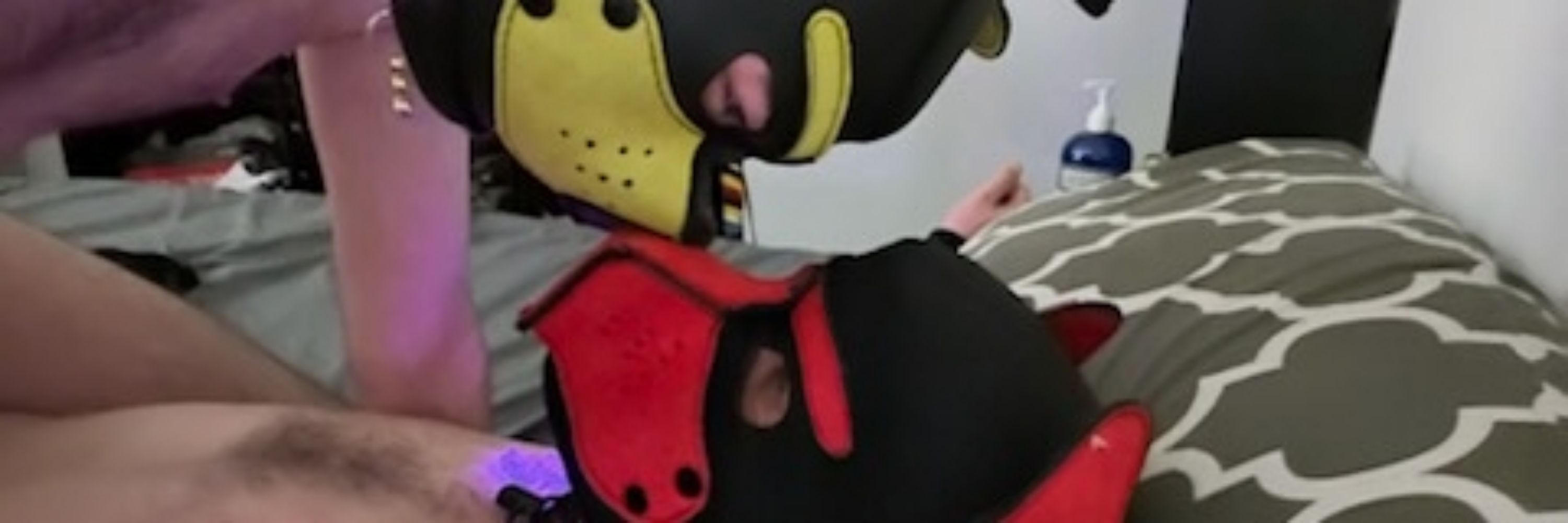 Pup Chase