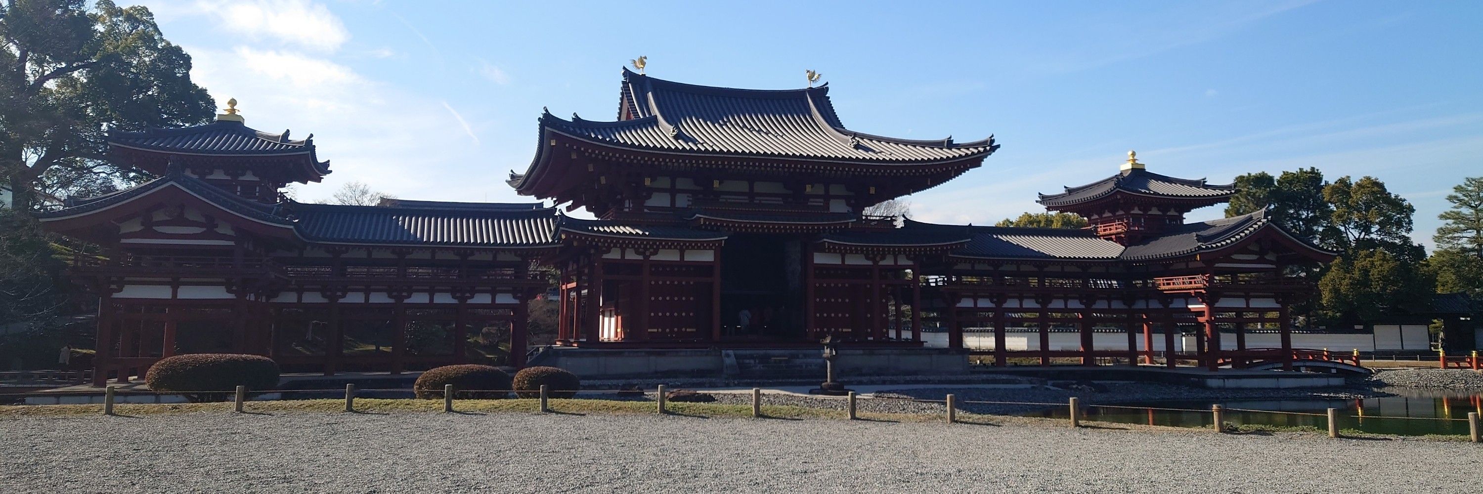 空木