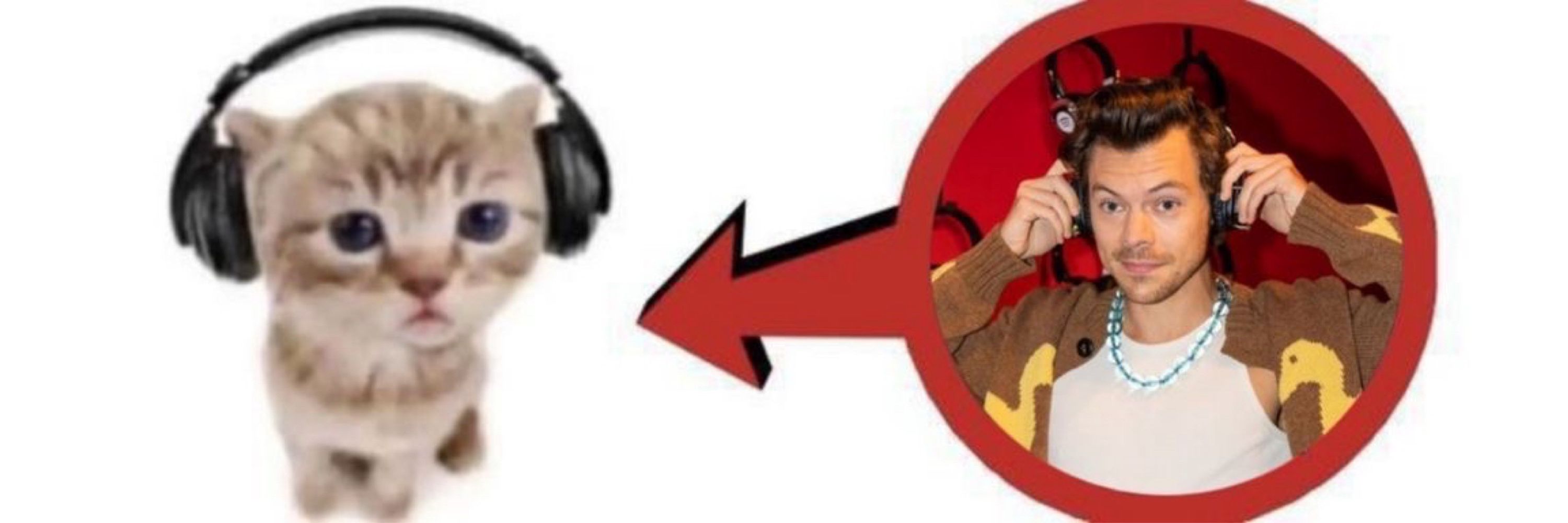 román 🫐