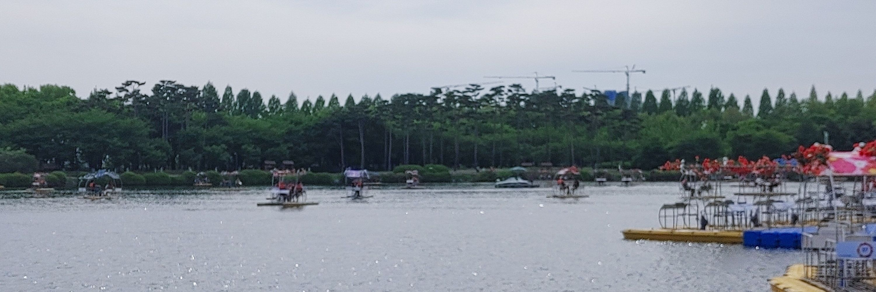 사탄토끼 