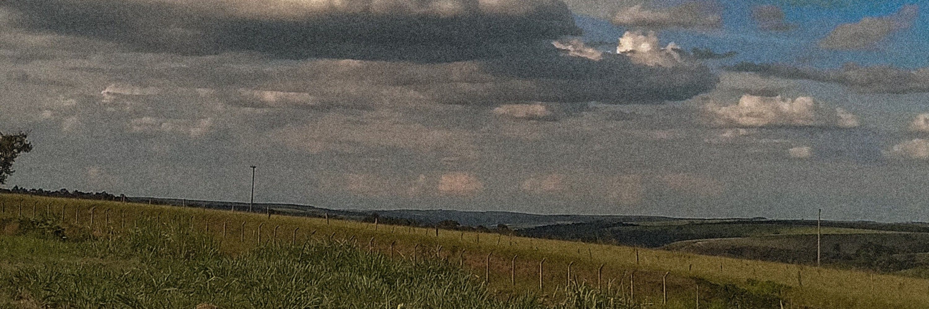 Água de coco