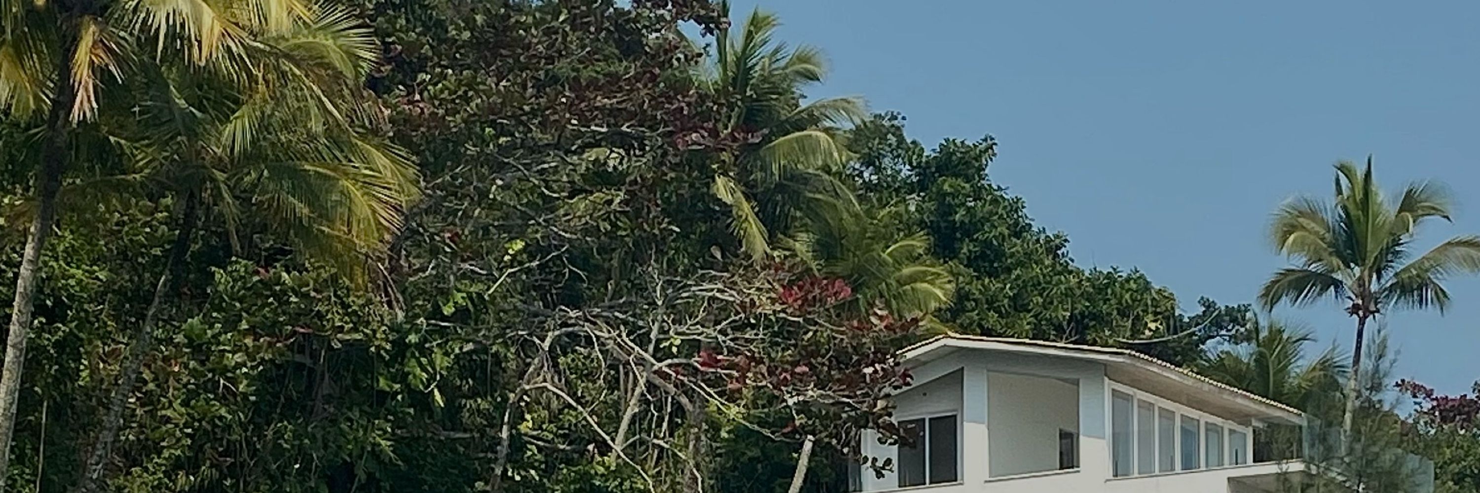 Rafael Leonardo