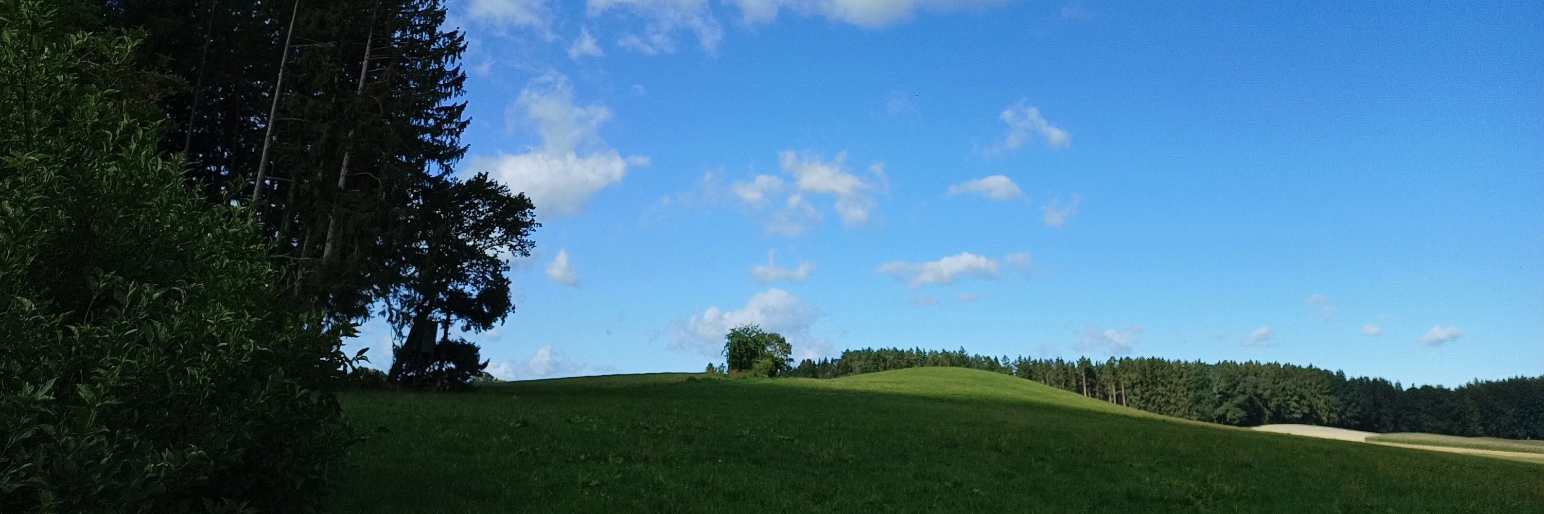 Wundertolle