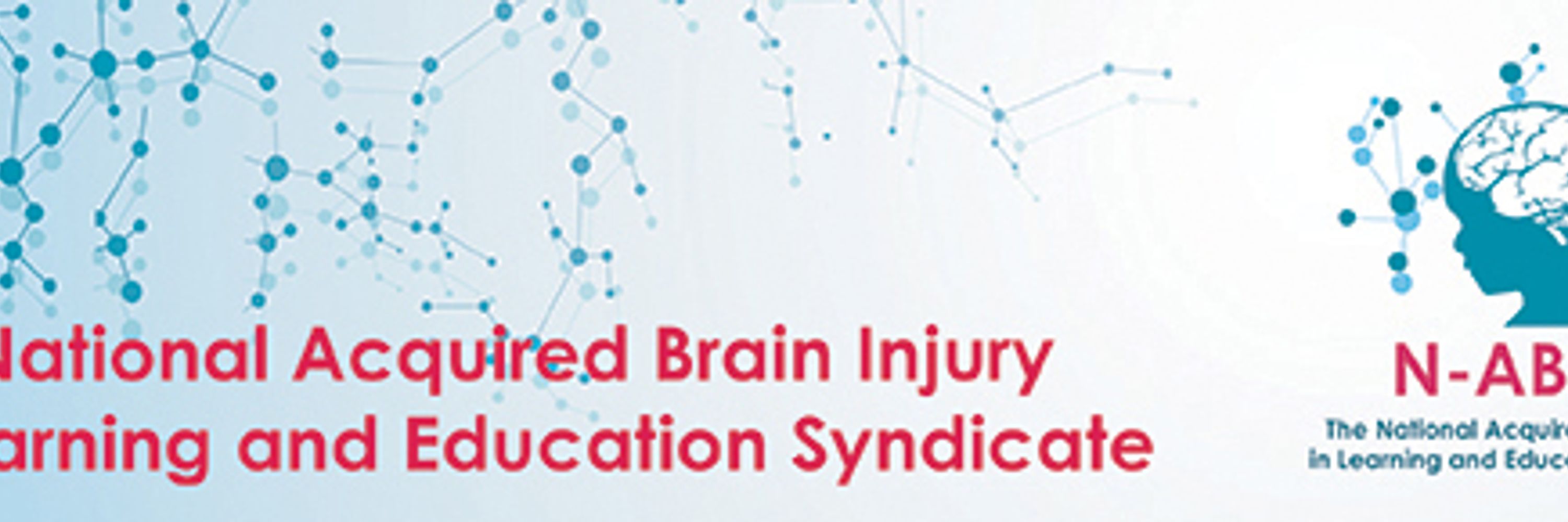 National Acquired Brain Injury In Learning & Education Syndicate