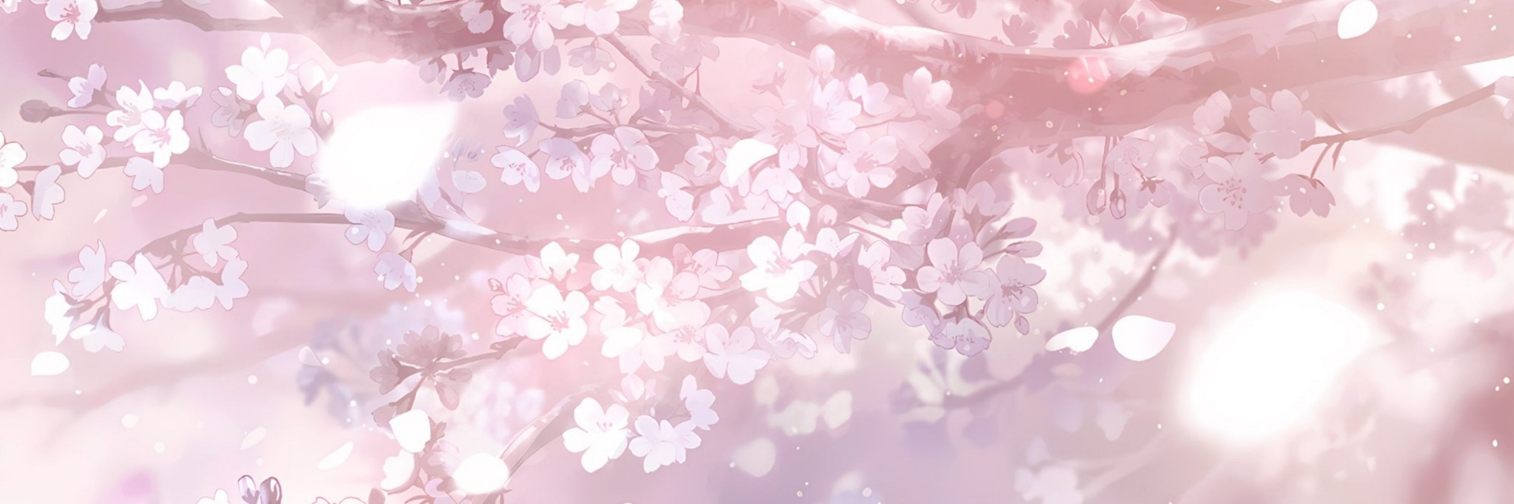 🌸 . Haakaro