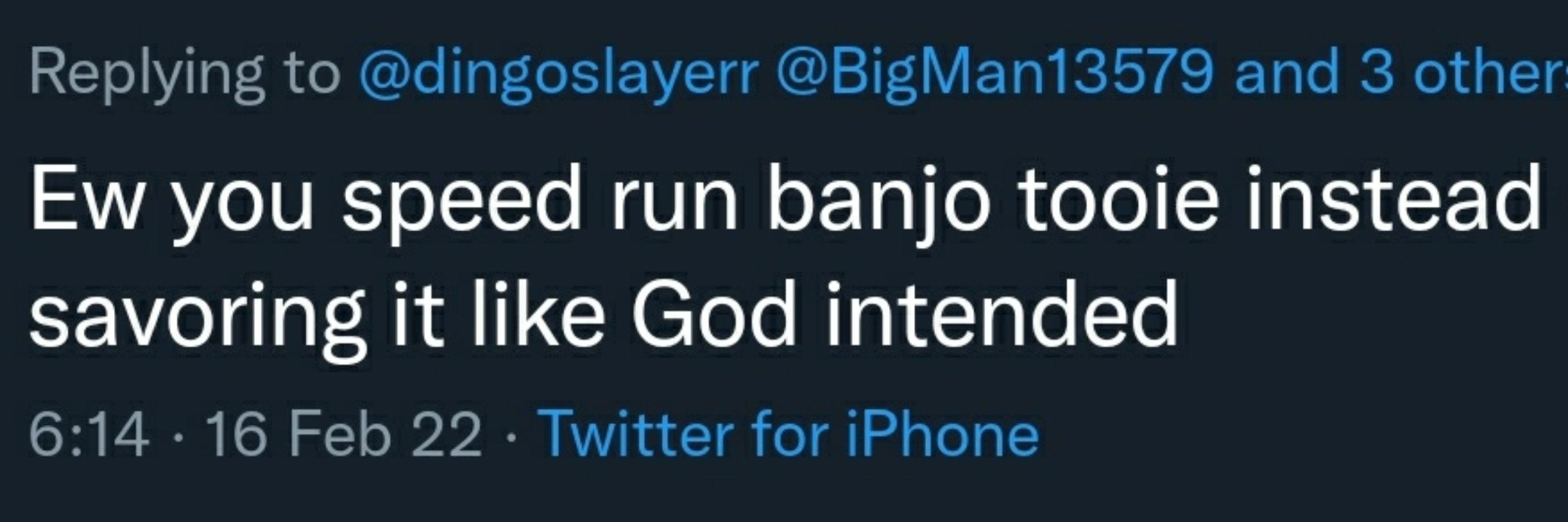 dingo / ryan
