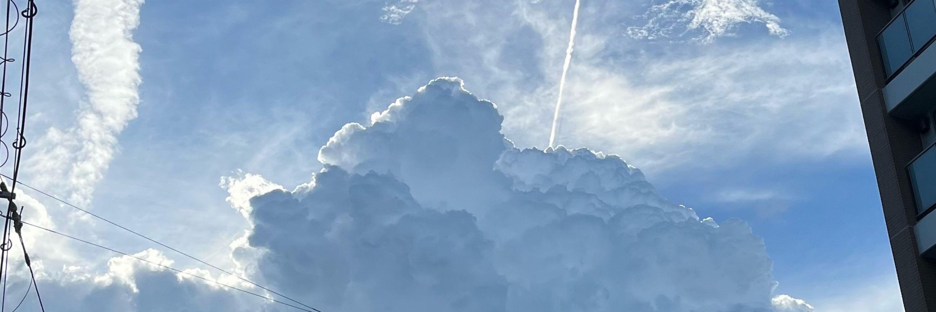 iuta_46